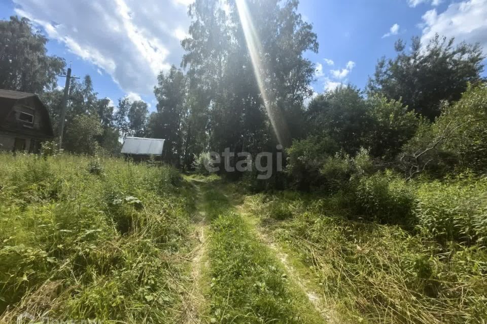 земля городской округ Бердск, Бердск фото 8