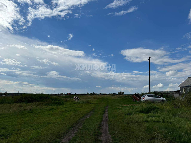 земля ул Степана Разина Верх-Ирменский сельсовет фото