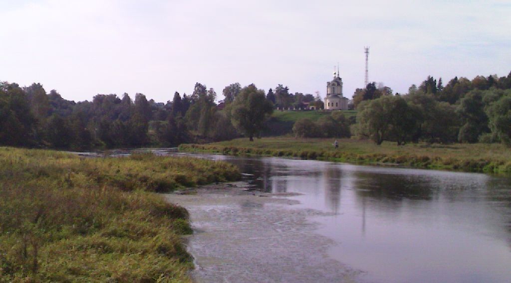 земля городской округ Рузский д Рыбушкино фото 4