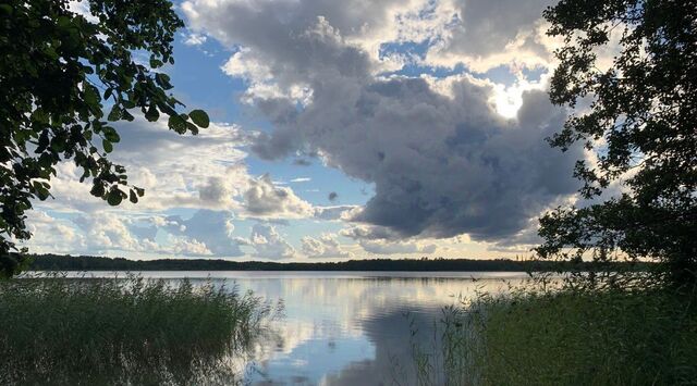 Вишневский Берег кп, Красносельское с пос фото