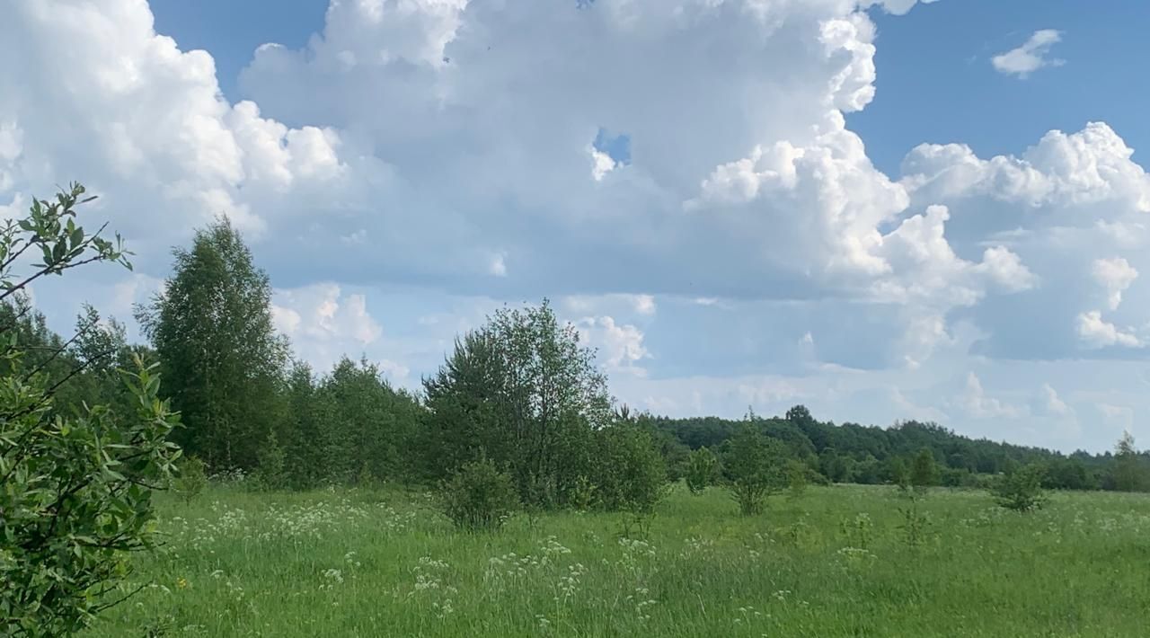 земля р-н Переславский д Маншино Переславль-Залесский городской округ фото 6