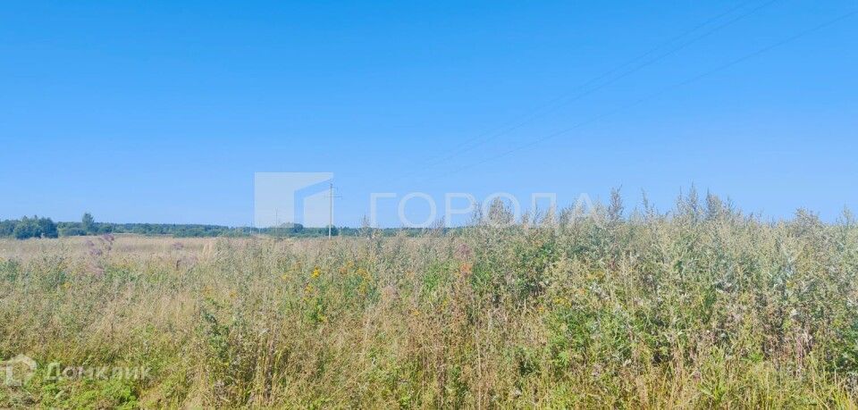 земля городской округ Шаховская фото 8