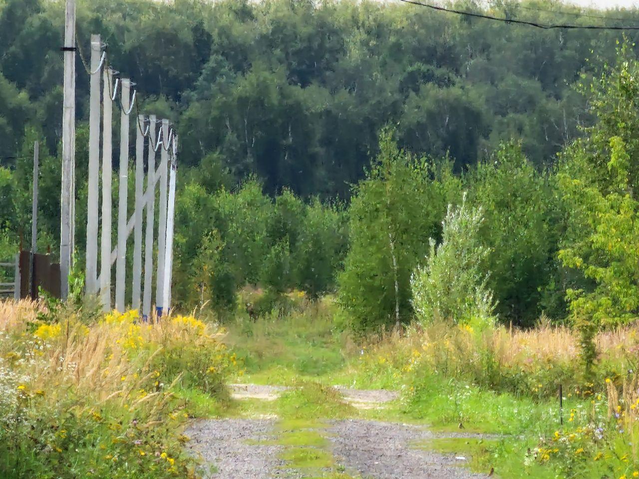 земля городской округ Раменский Долина Озер-2 кп, 509 фото 4