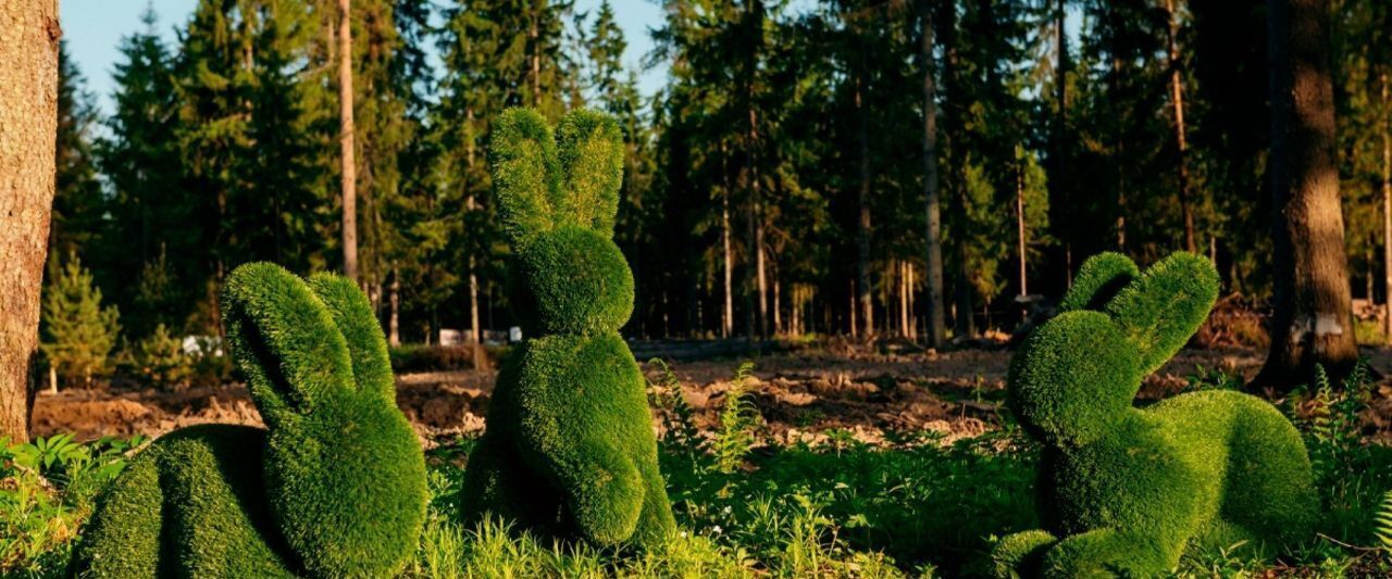 земля городской округ Клин д Поджигородово фото 7