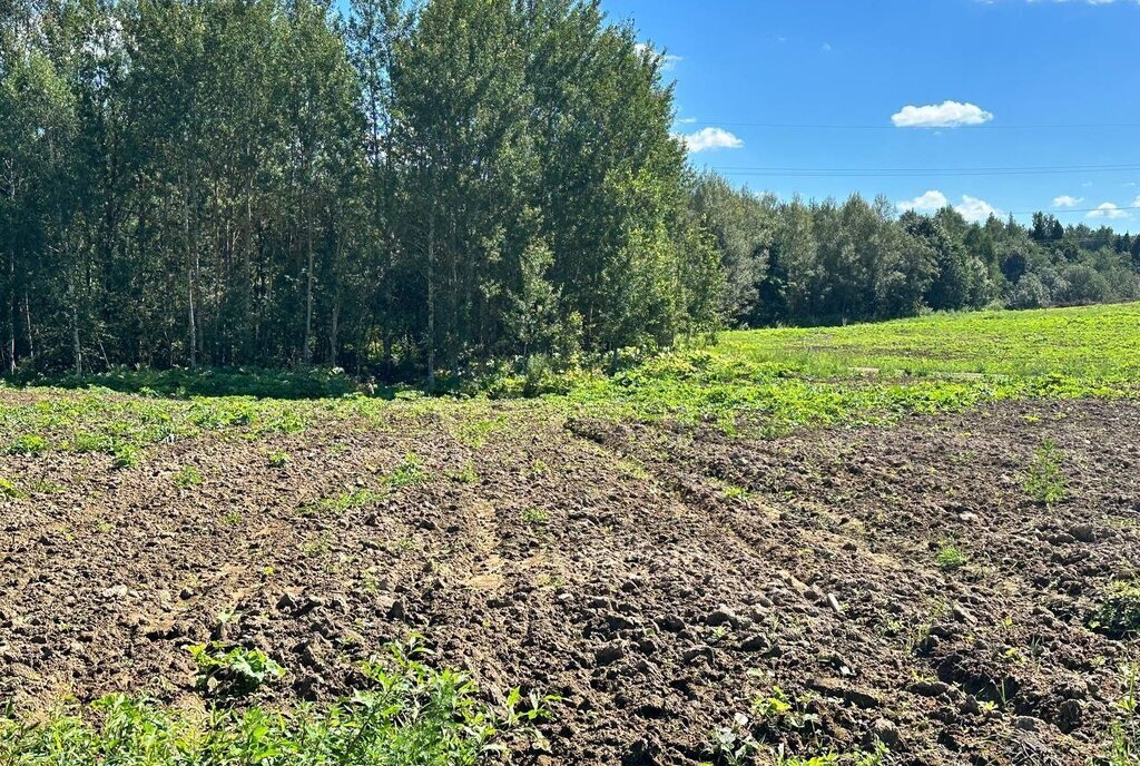 земля городской округ Дмитровский коттеджный поселок «Сорочаны» городской округ Клин фото 1