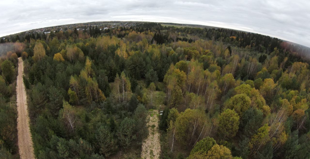 земля городской округ Истра д Киселёво 40 км, Истра, Волоколамское шоссе фото 6