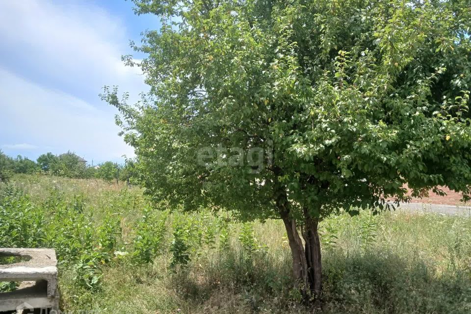 земля р-н Назрановский село Экажево фото 6