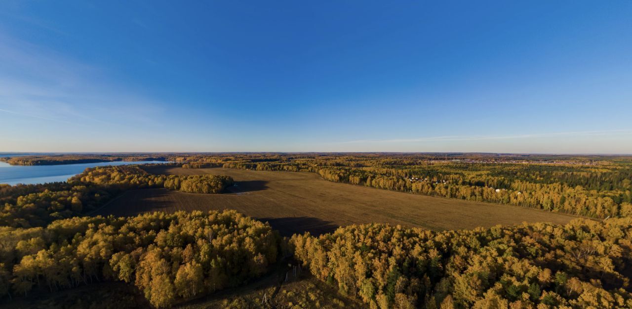 земля городской округ Пушкинский Лиса кп фото 5