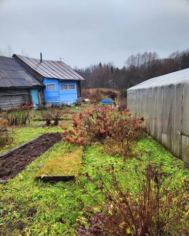 д Порог Трасса Вологда — Новая Ладога, Большедворское сельское поселение, Пикалево фото