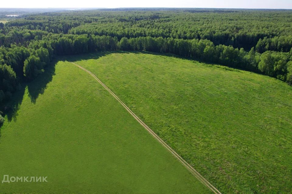 земля городской округ Пушкинский деревня Михалёво фото 4