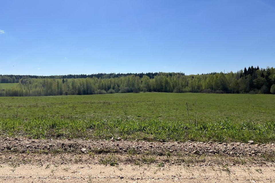 земля городской округ Дмитровский деревня Малое Насоново фото 10