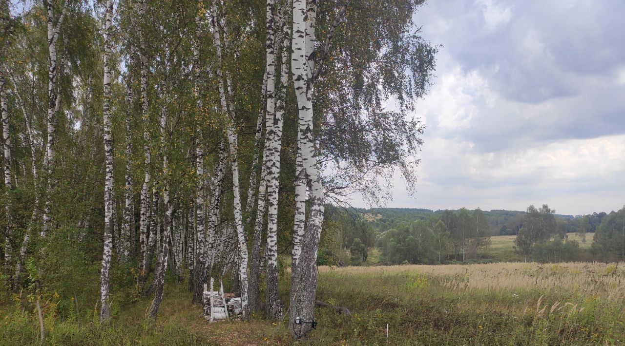 дом р-н Алексинский д Лужки фото 6