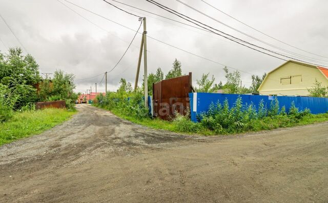 садовое товарищество Север-1, Тюменская обл. фото