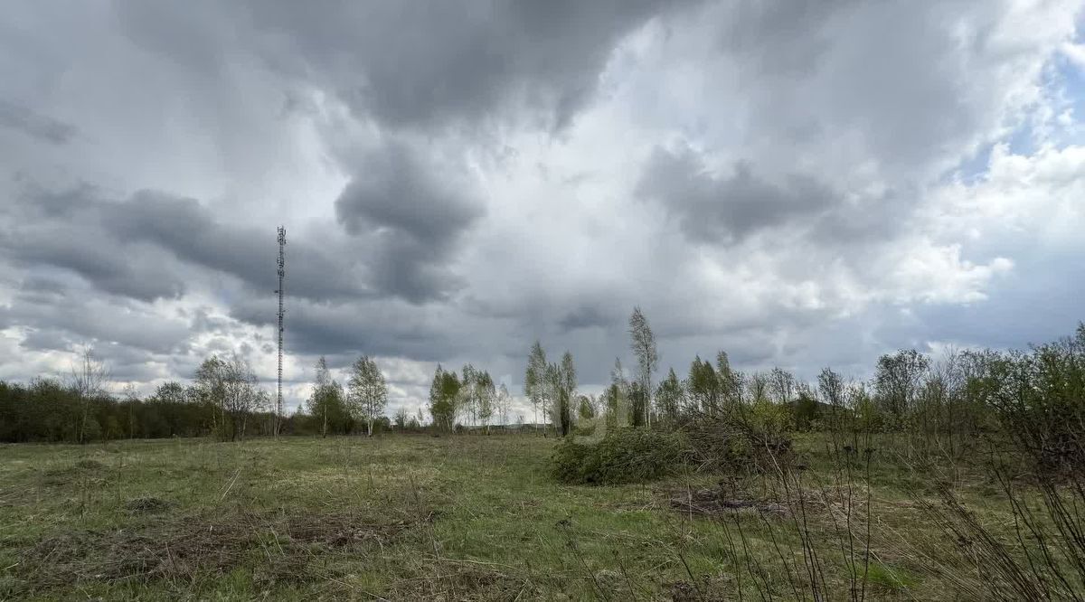 земля р-н Смоленский д Гнездово Смоленский муниципальный округ фото 10