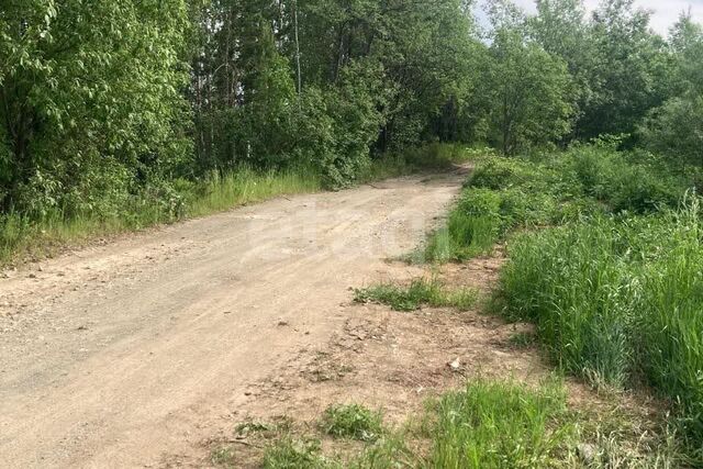 городской округ Ревда, село Кунгурка фото