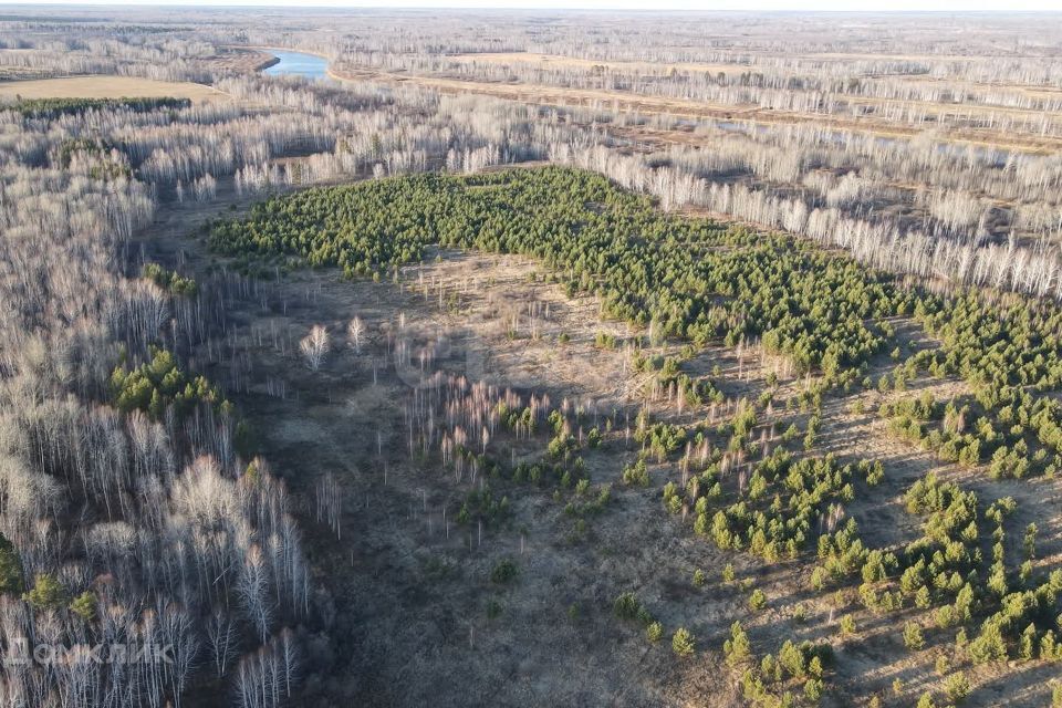 земля р-н Ленинский село Каменское фото 8