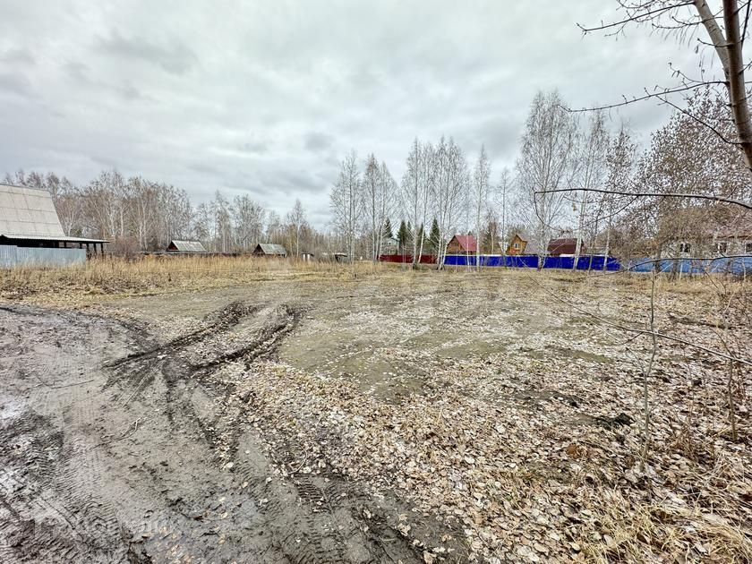 земля г Тюмень городской округ Тюмень, СО Иволга фото 5