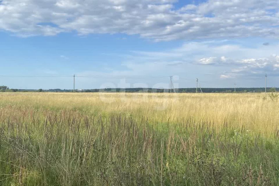 земля р-н Гурьевский посёлок Заречье фото 4