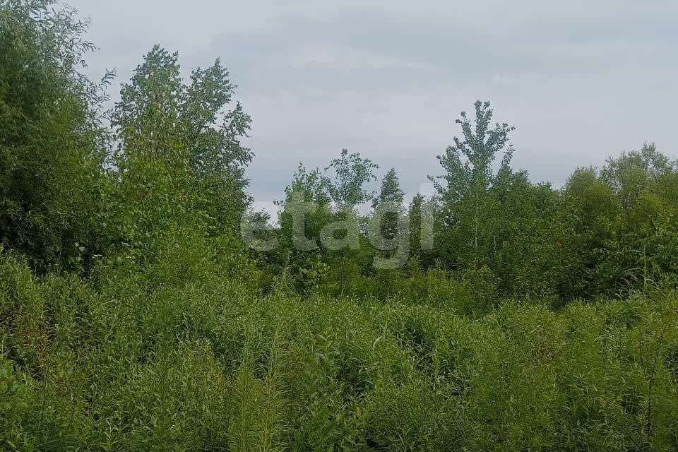 земля р-н Хабаровский с Мирное Комсомольское шоссе фото 2