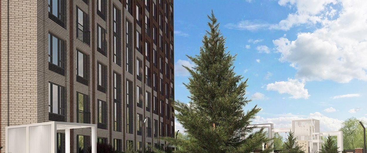 квартира г Новосибирск Заельцовская пр-кт Красный 236 фото 12