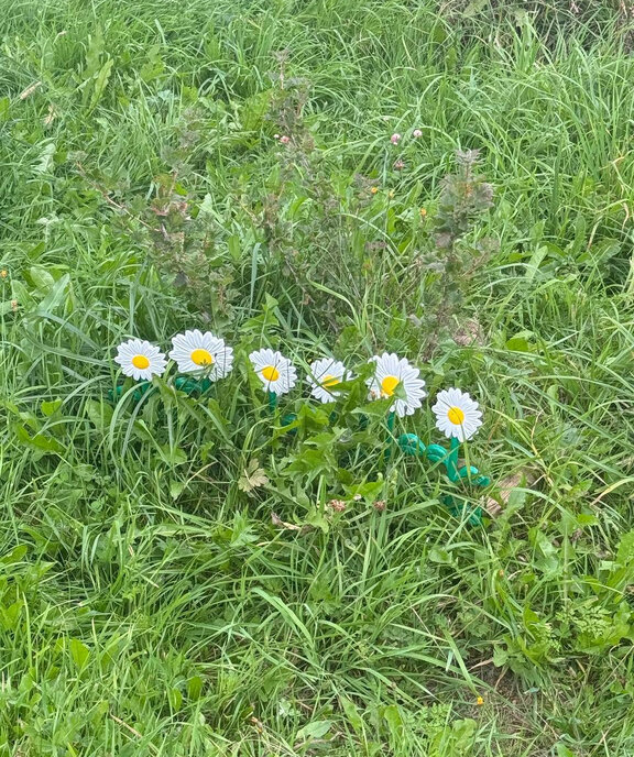 дом р-н Вологодский д Голенево фото 30