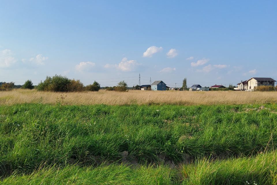 земля р-н Тосненский фото 4