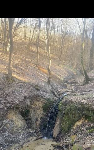 снт Победа Ильское городское поселение, Северский район фото