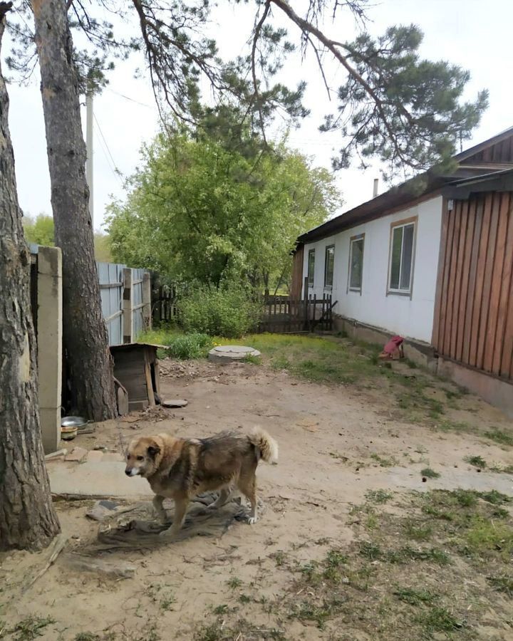 дом р-н Благовещенский с Волково ул Новая 45 Благовещенск фото 17