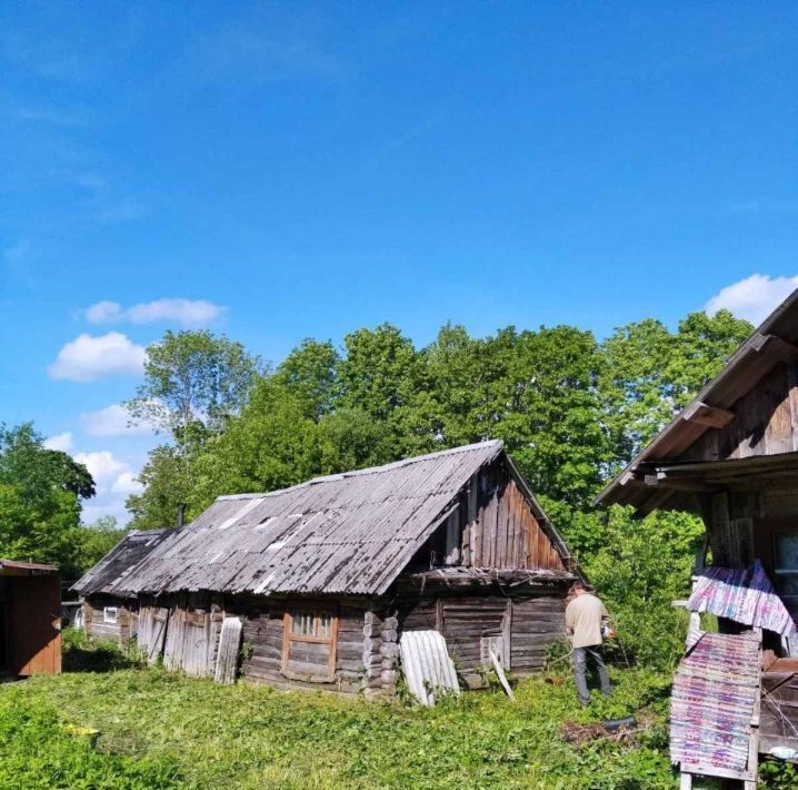 земля р-н Гдовский д Трутнево Юшкинская волость фото 5