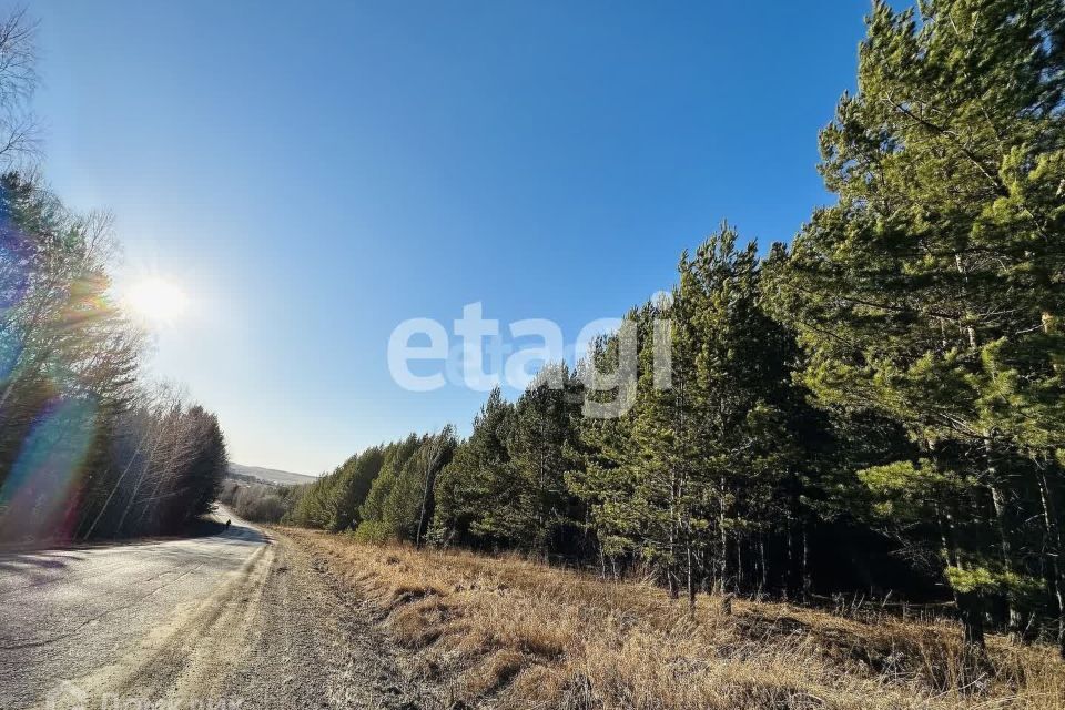 земля р-н Емельяновский фото 2