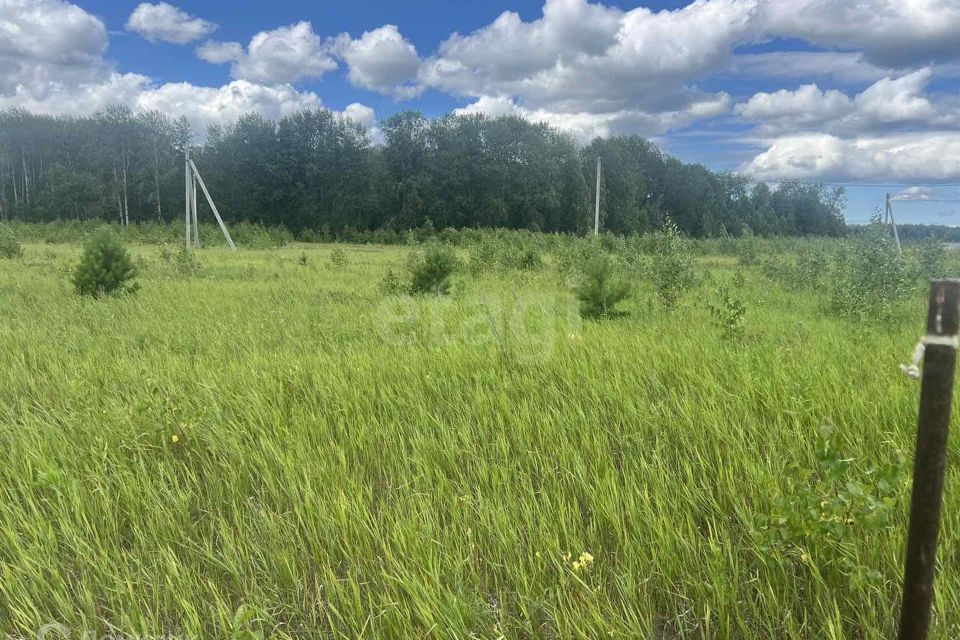 земля р-н Тюменский село Кулига фото 8