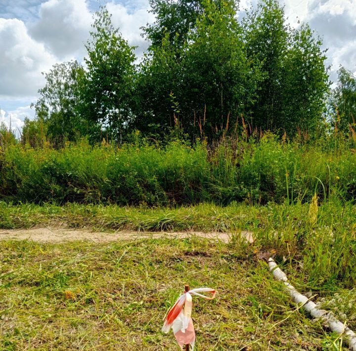 земля городской округ Орехово-Зуевский г Куровское фото 3