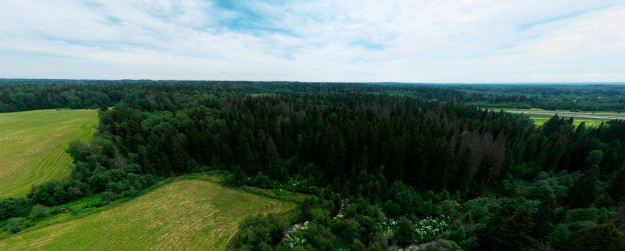 земля городской округ Клин д Давыдково фото 8