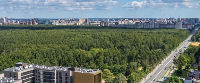 метро Площадь Мужества Лесной фото