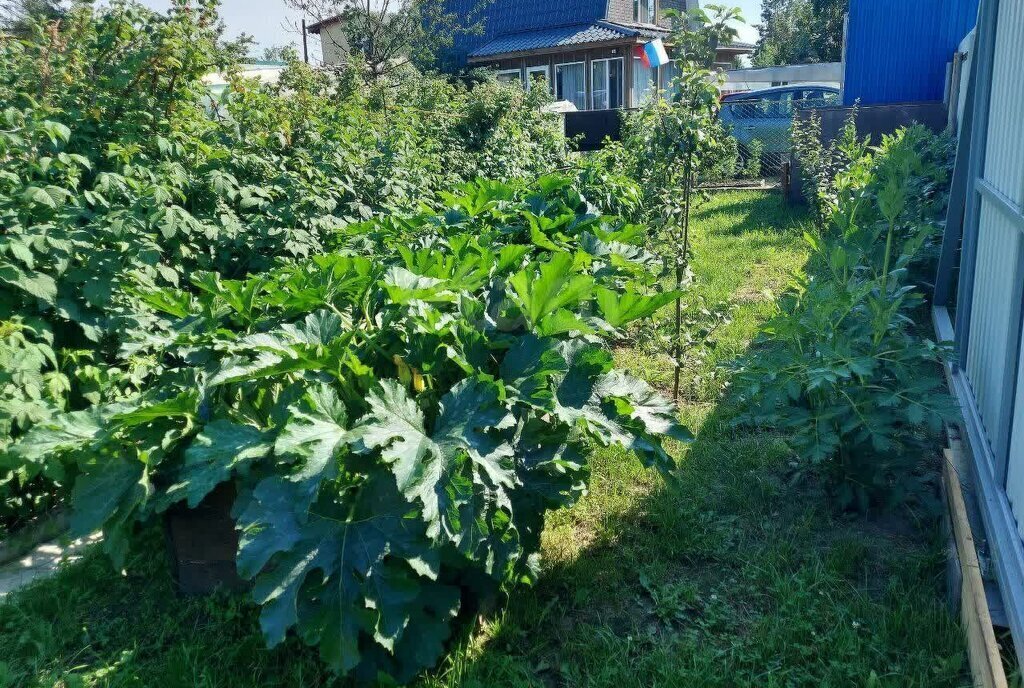 дом г Тюмень снт Дружба ул Водопроводная фото 7