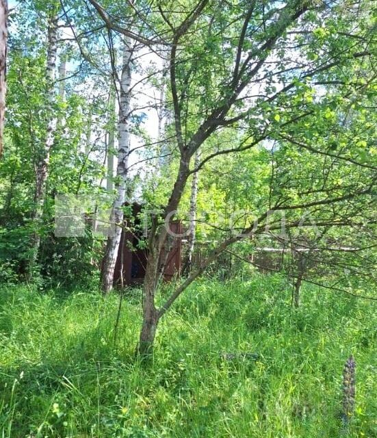 дом городской округ Рузский деревня Хрущёво фото 9