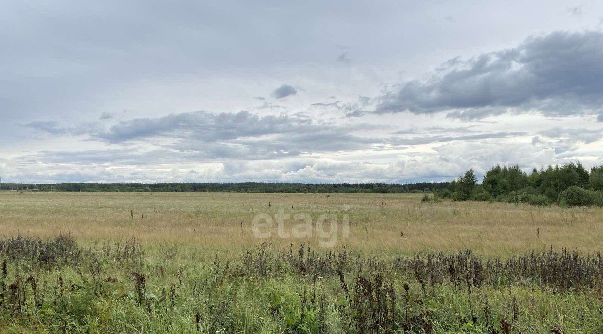 земля р-н Муромский д Макаровка ул Центральная Муром фото 4