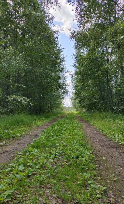 земля р-н Тосненский д Ладога пер 5-й Гранитный 8 Федоровское городское поселение фото 30