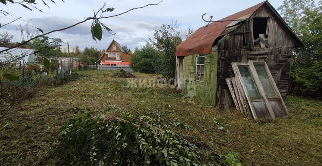 р-н Октябрьский Речной вокзал садовое товарищество Угольщик фото