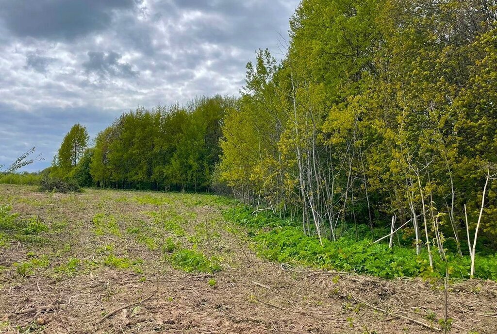 земля городской округ Дмитровский коттеджный поселок «Сорочаны» городской округ Клин фото 12