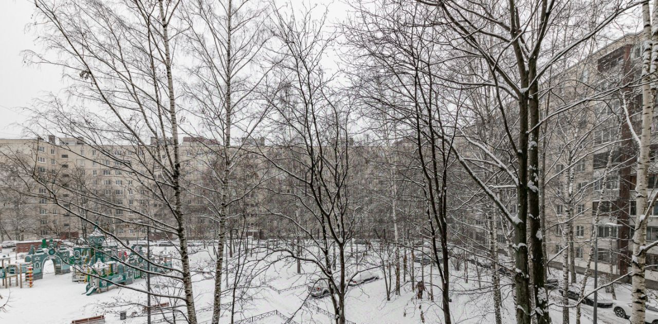 квартира г Санкт-Петербург метро Проспект Большевиков ул Кржижановского 13 фото 17