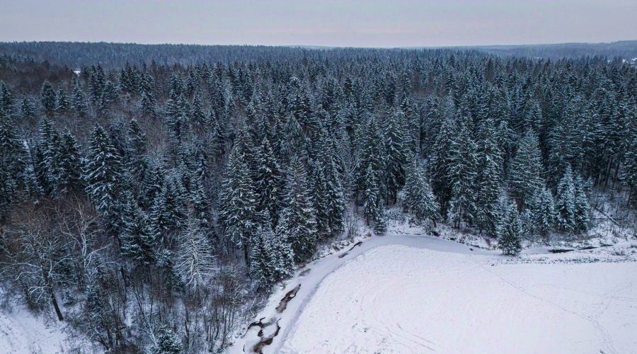 земля городской округ Истра д Давыдково фото 1