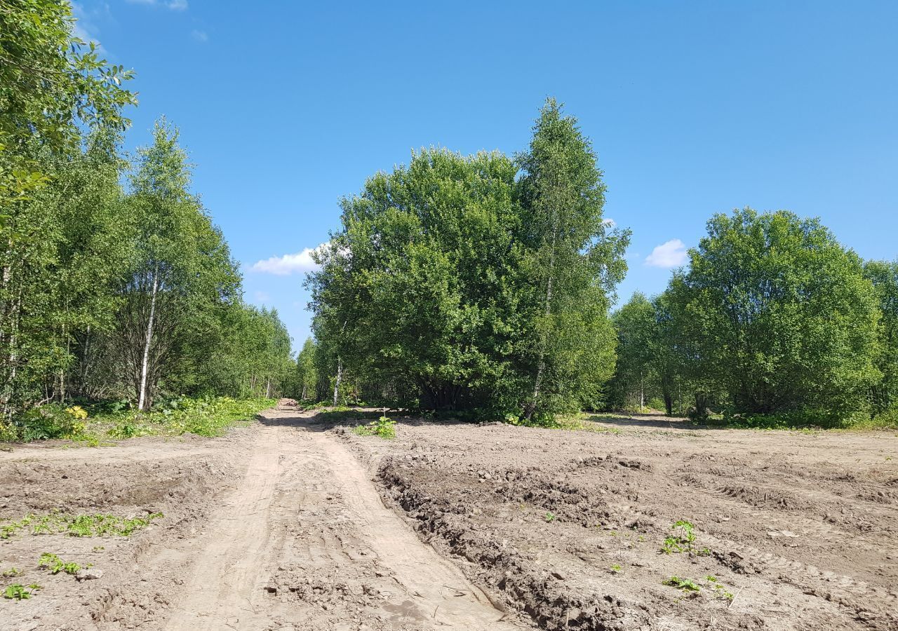 земля городской округ Рузский д Андрейково 9786 км, Новопетровское, Волоколамское шоссе фото 8