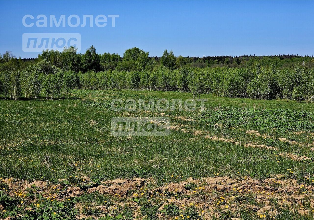 земля городской округ Наро-Фоминский д Таширово 56 км, Наро-Фоминск, Киевское шоссе фото 4