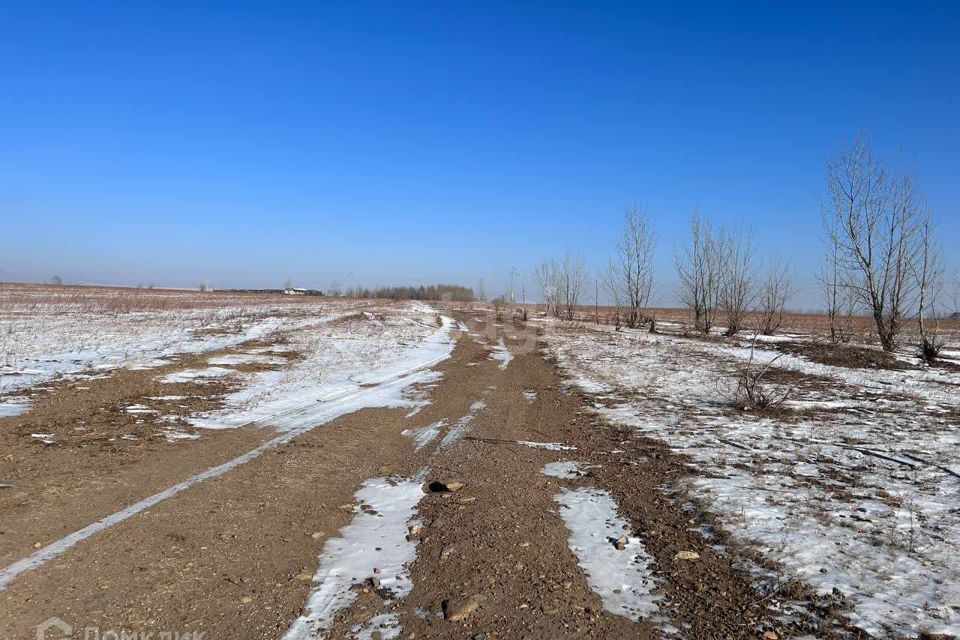 земля р-н Читинский с Угдан Чита - Романовка, 15-й километр фото 9