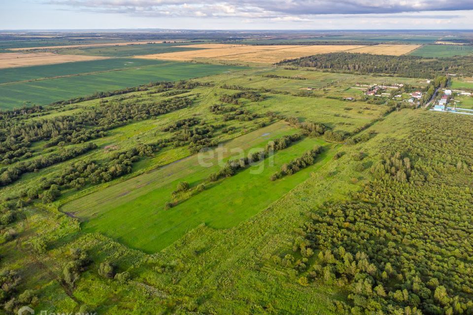 земля р-н Хабаровский село Дружба фото 9