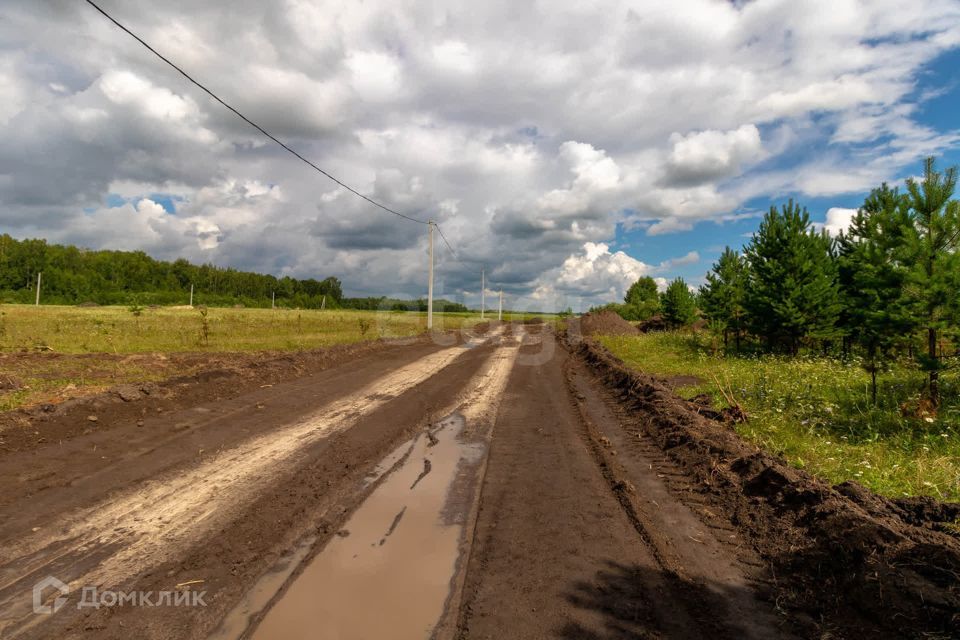 земля р-н Нижнетавдинский д Московка 2-я линия фото 7