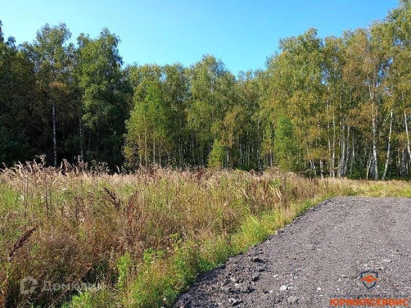 земля городской округ Раменский с Юсупово коттеджный посёлок Репино, городской округ Домодедово фото 4