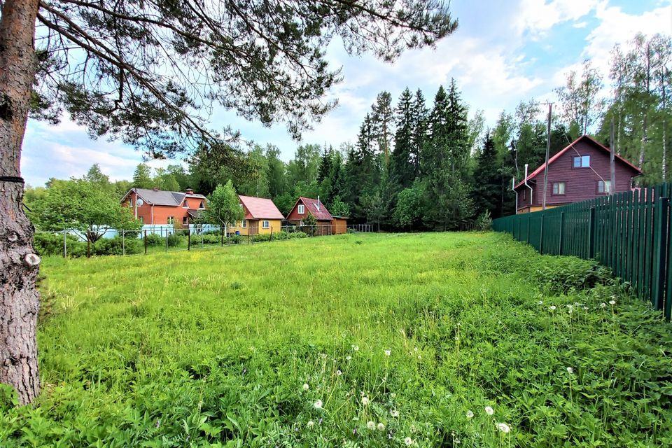 земля городской округ Наро-Фоминский СНТ Кантемировец фото 3