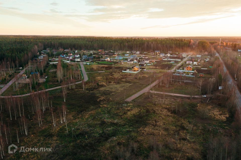 земля р-н Выборгский фото 9